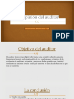 La Opinión Del Auditor 2022 - 230307 - 172103