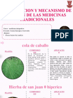 Medicina Integrativa Sus Componentes