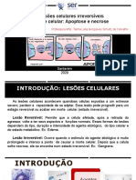 5-Lesões Irreversíveis (Necrose e Apoptose) Atual