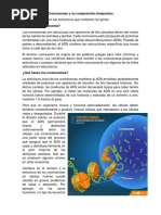 Cromosomas y Su Composición Bioquímica (Lectura)