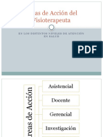 Áreas de Acción Del Fisioterapeuta