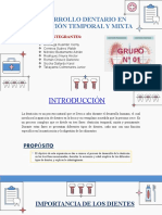 Desarrollo Dentario en Dentición Temporal y Mixta 3