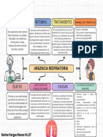 Organizador Grafico ASMA 