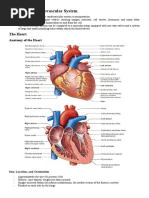 Chapter 11. Cardiovascular-System