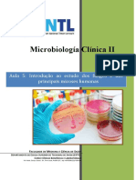 Microbiología Clínica II Aula # 5 Introdução Ao Estudo Dos Fungos e Das Principais Micoses Humanas