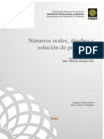 Unidad I Números Reales, Álgebra y Solución de Problemas