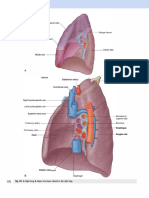 Greys-Anatomy-Student (1) - Compressed