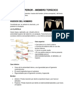 Generalidades de Sistema Oseo. Miembro Superior