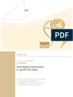 Neurological Examination in Spinal Cord Injury New