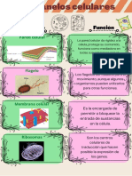 Documento Monografia Del Ajolote Ilustrado Colores Pastel