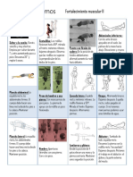 Tabla de Fortalecimiento Nº 2