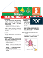 Sistema Digestivo Animal para Quinto Grado de Secundaria