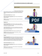 Motor Exam Guide - Af.es