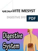 Digestivesystem