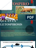 LECTOSPIROSIS Bovina