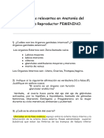 Preguntas Relevantes en Anatomía Del Sistema Reproductor FEMENINO-1