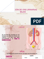 Infecciones Urinarias