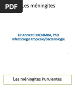 Infections Des Méninges