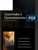 Queimadas e Desmatamentos