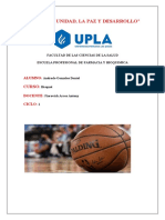 Informe de Basquet