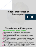 Protein Sysnthesis 3