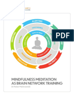 Brain Networks and Meditation Leaflet