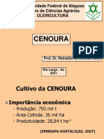 Cenoura - 2021