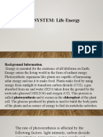 Ecosystem Life Energy