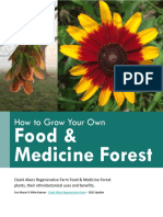 Grow Your Own Food & Medicine 2023 Update