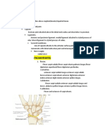 0 Wrist Joint Anatomy