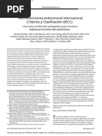 International Endocervical Adenocarcinoma Criteria - En.es