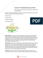 Reproductive System in Plants SS2