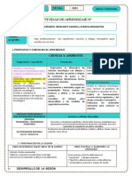 Actividad Ciencia y Tecnologia Diseñamos Repelente Casero