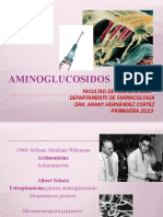 5.5 Aminoglucosidos 2023