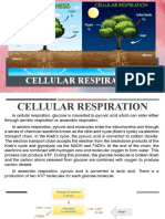 Cellular Respiration