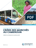 Rapport Diagnostic Secteur Privé Cameroun 2022