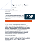 Causas de Hipercalcemia en El Perro