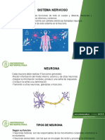 Generalidades Del Sistema Nervioso !!!!