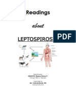 Leptospirosis Final