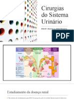 5 - Cirurgia Do Sistema Urinário