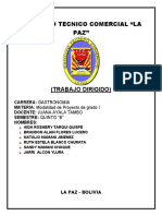 Trabajo Dirigido-1