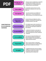 Caracteristicas de Los Derechos Humanos