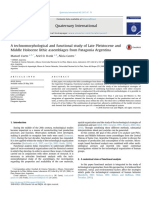 A Technomorphological and Functional Stu