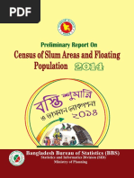 Preli Slum Census