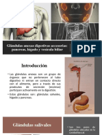 6 Sistema Digestivo - Parte 2