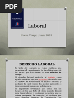 Laboral 1