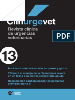 Clinurgevet 13