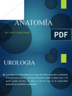 Anatomia de Vias Urinarias