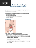 Recolección de Orina Limpia