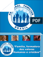 PASTORAL FAMILIAR - Apresentação Estrutura CNBB